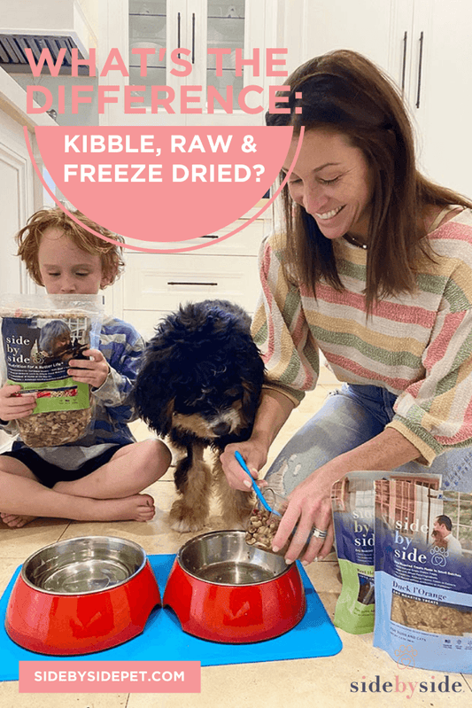 What’s the Difference Between Kibble, Raw & Freeze Dried Pet Food?