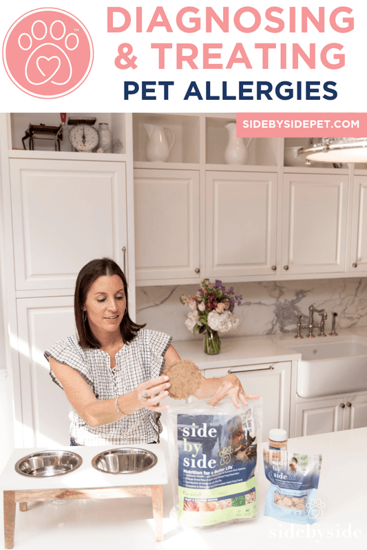 Diagnosing & Treating Pet Allergies