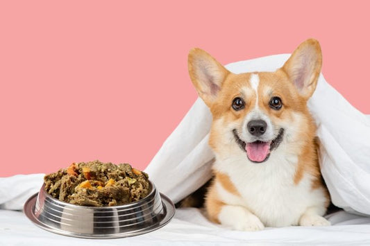 warming food