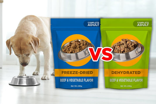 freeze-dried