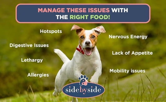 Diet for dogs