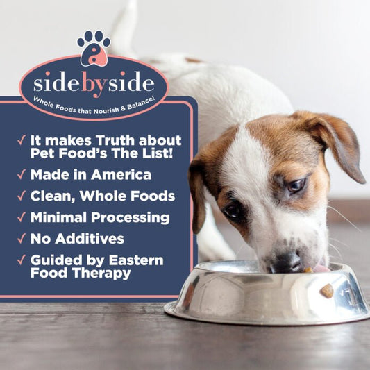 dog food