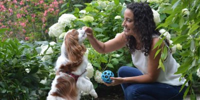 A better way to understand your pet