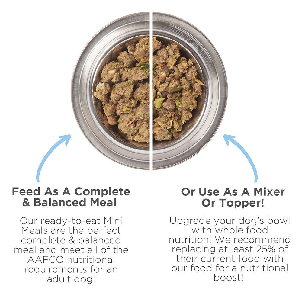 Freeze Dried Raw Duck Mini Patties