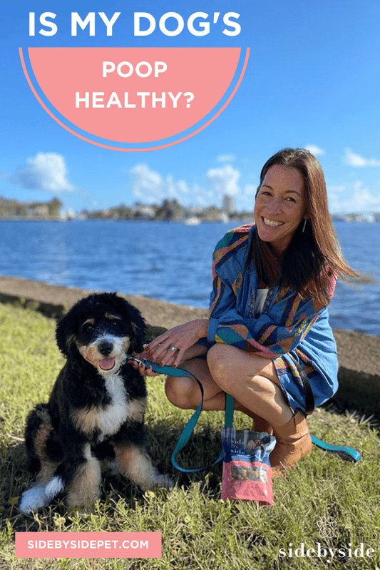 Is your dog's poop healthy cover