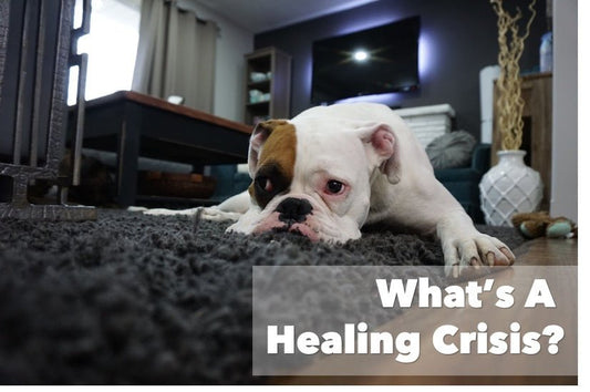 What’s A Healing Crisis?