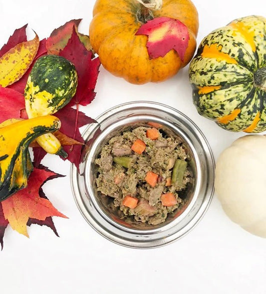 7 Favorite Fall Foods for Pets and Their Eastern Food Therapy Benefits